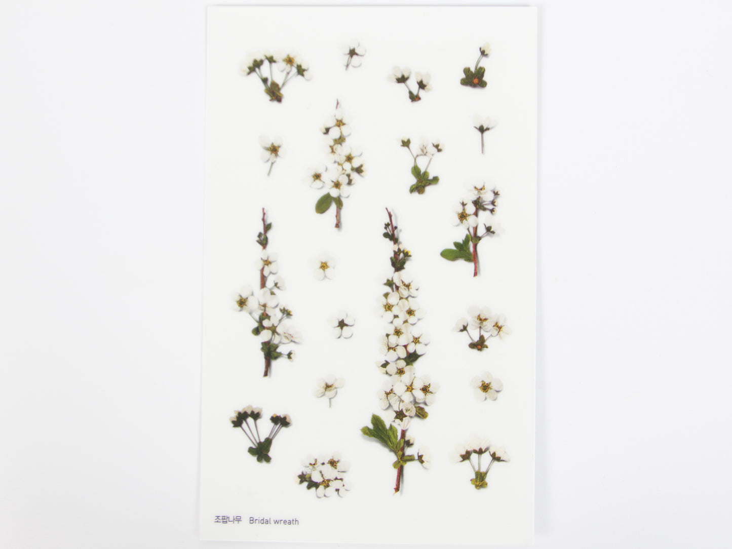 Appree Pressed Flower Stickers