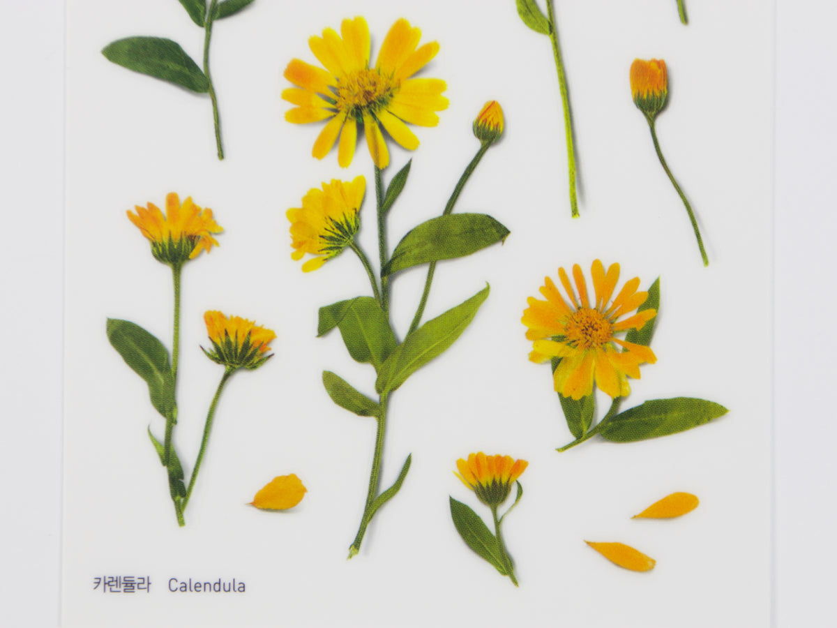 Appree Pressed Flower Stickers