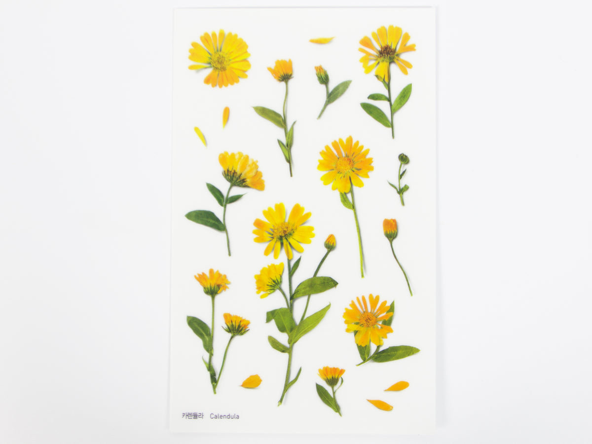 Appree Pressed Flower Stickers