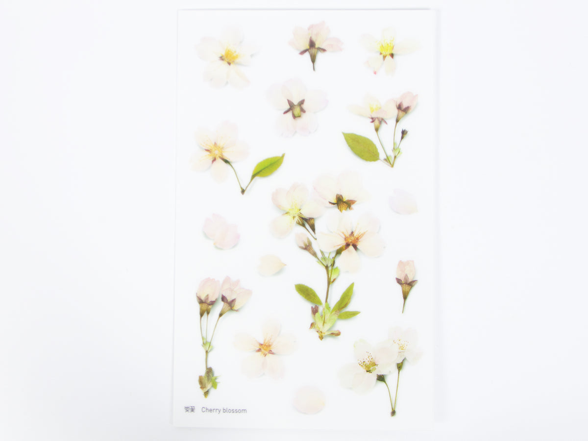 Appree Pressed Flower Stickers