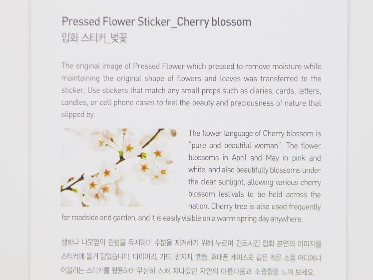 Appree Pressed Flower Stickers