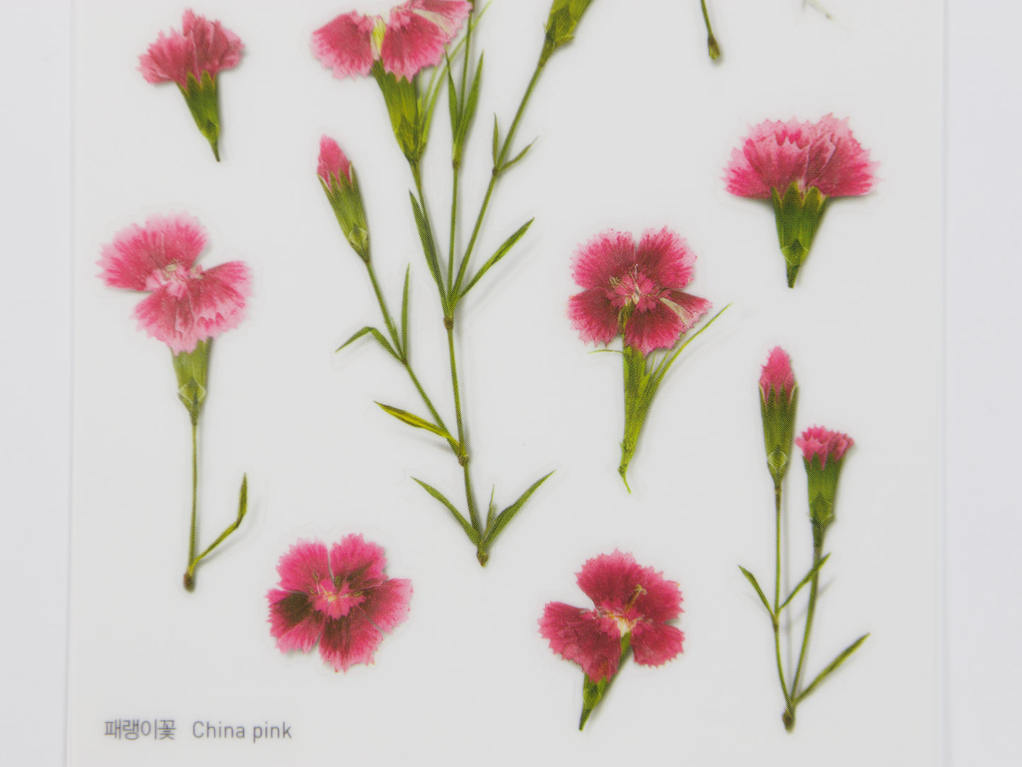 Appree Pressed Flower Stickers