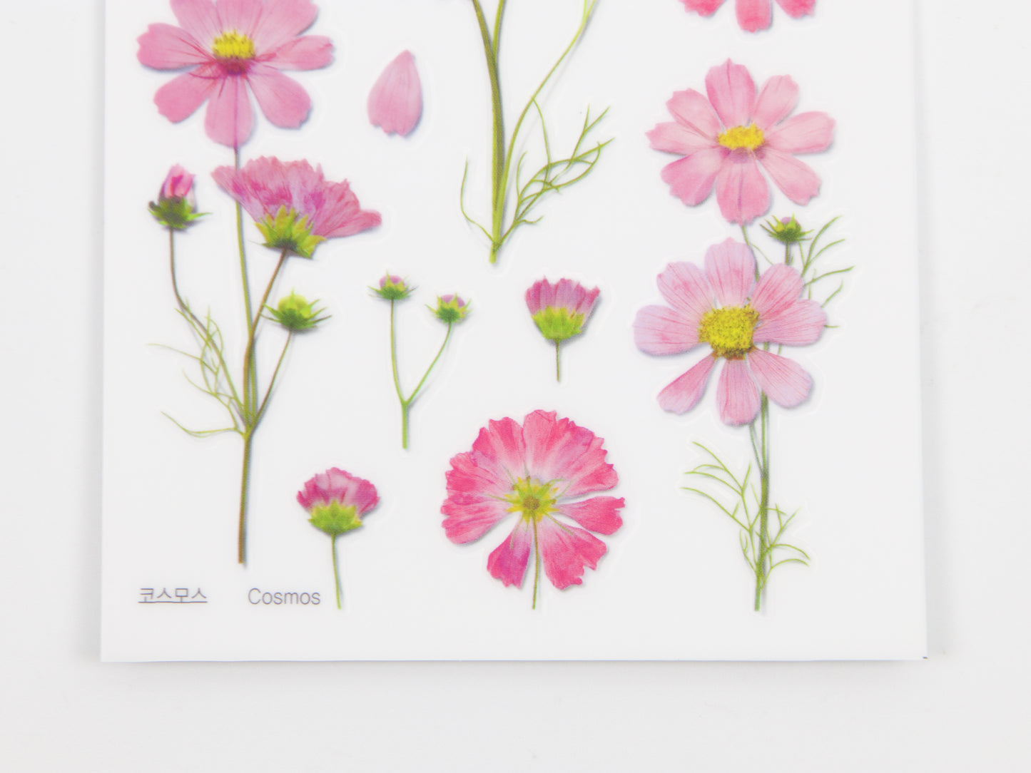 Appree Pressed Flower Stickers