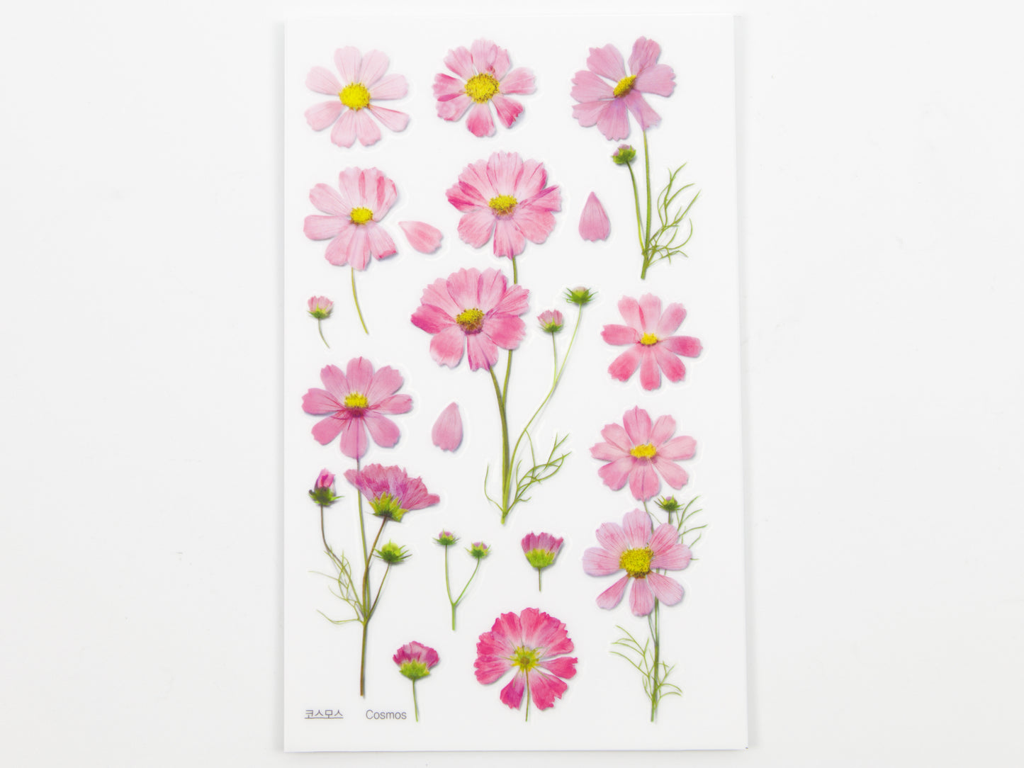 Appree Pressed Flower Stickers