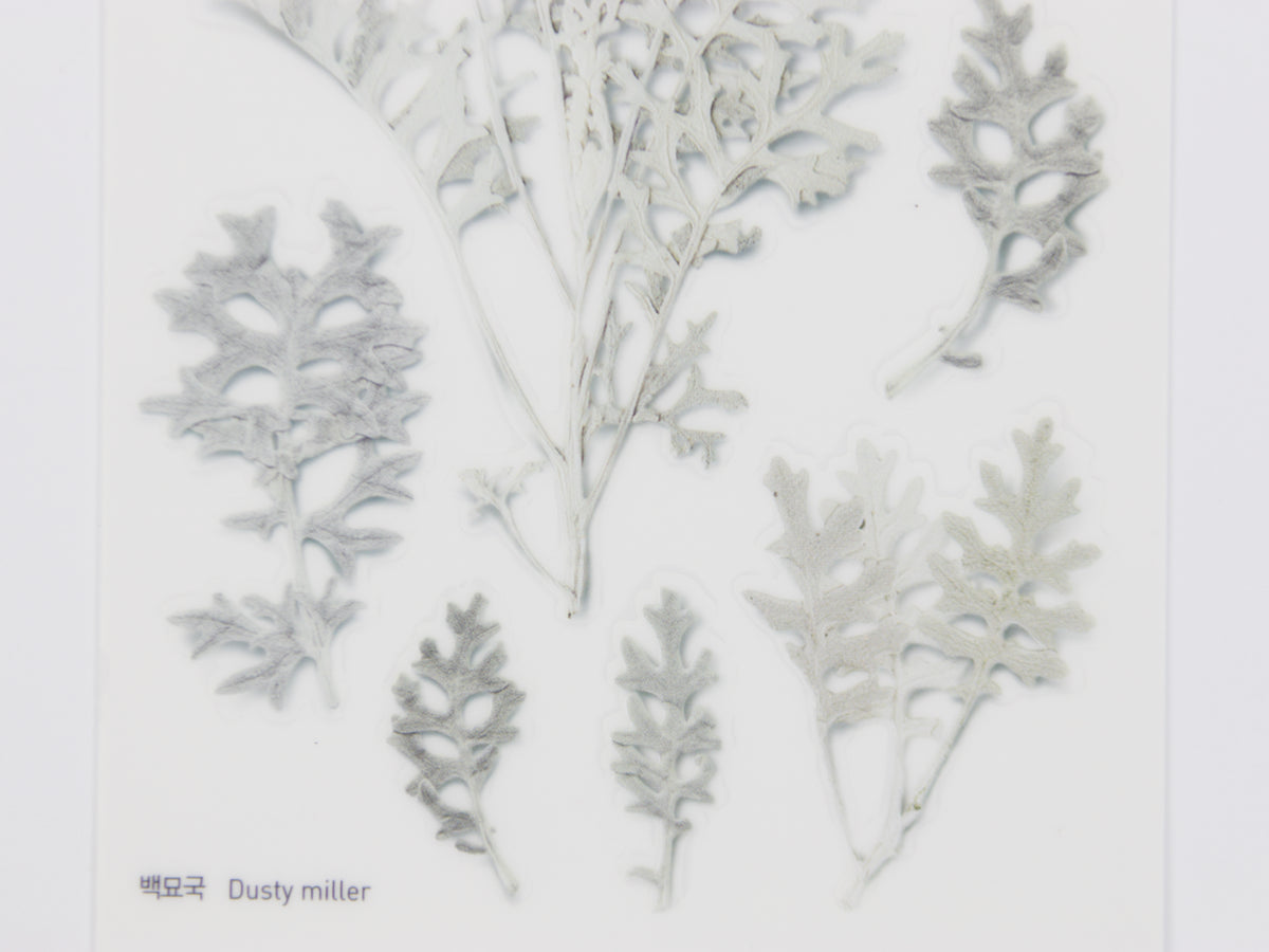 Appree Pressed Flower Stickers