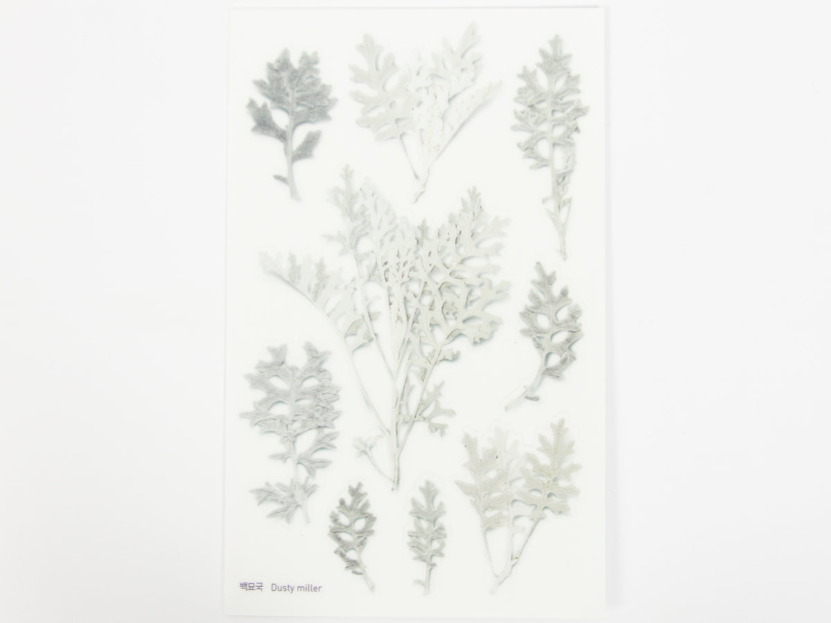 Appree Pressed Flower Stickers