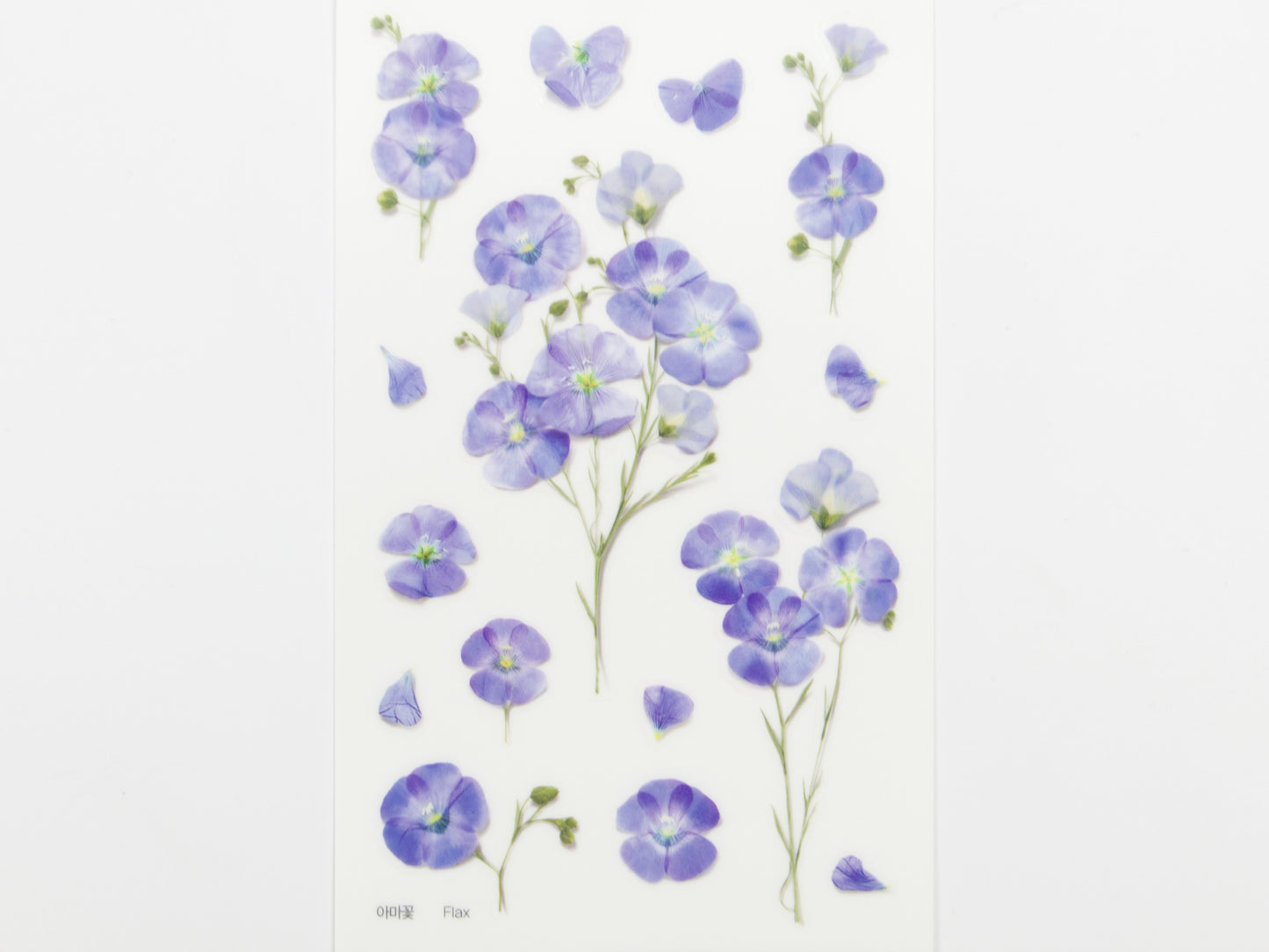Appree Pressed Flower Stickers