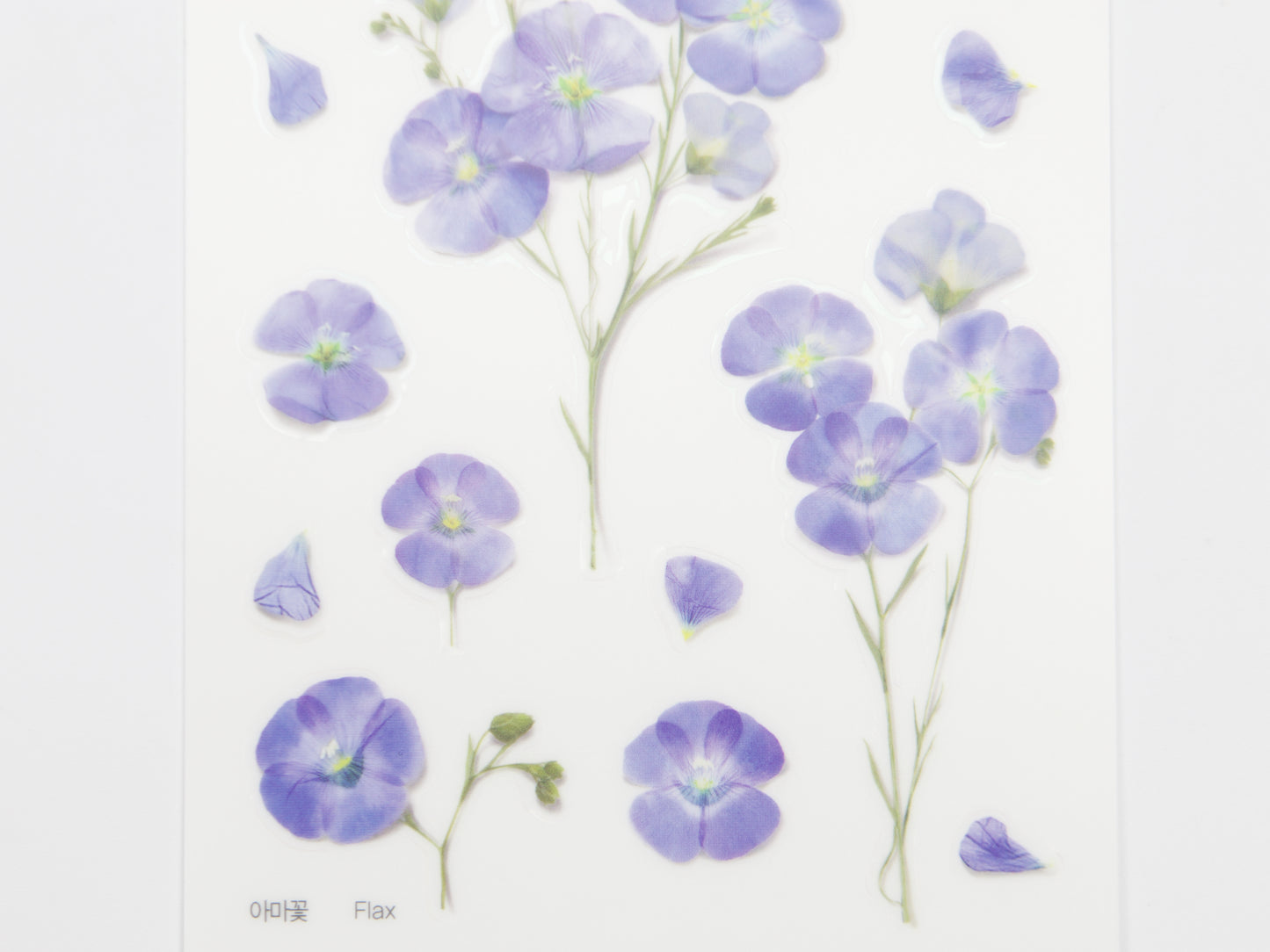 Appree Pressed Flower Stickers