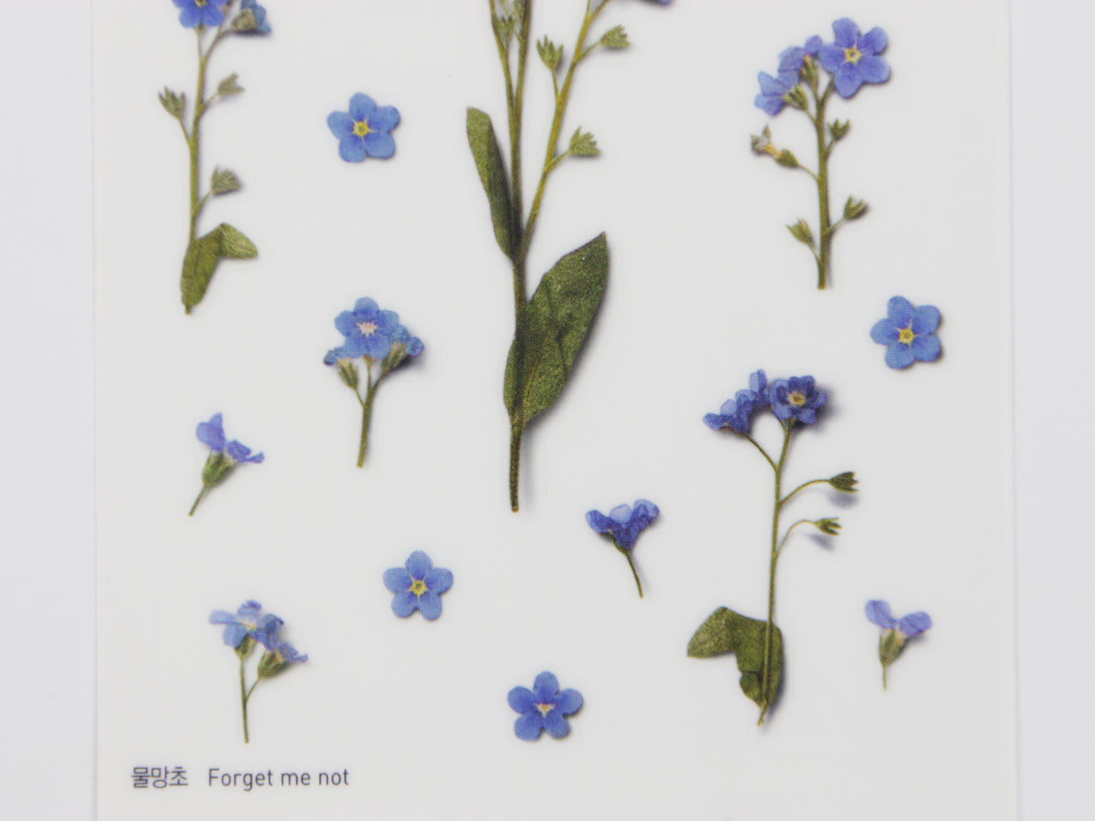 Appree Pressed Flower Stickers