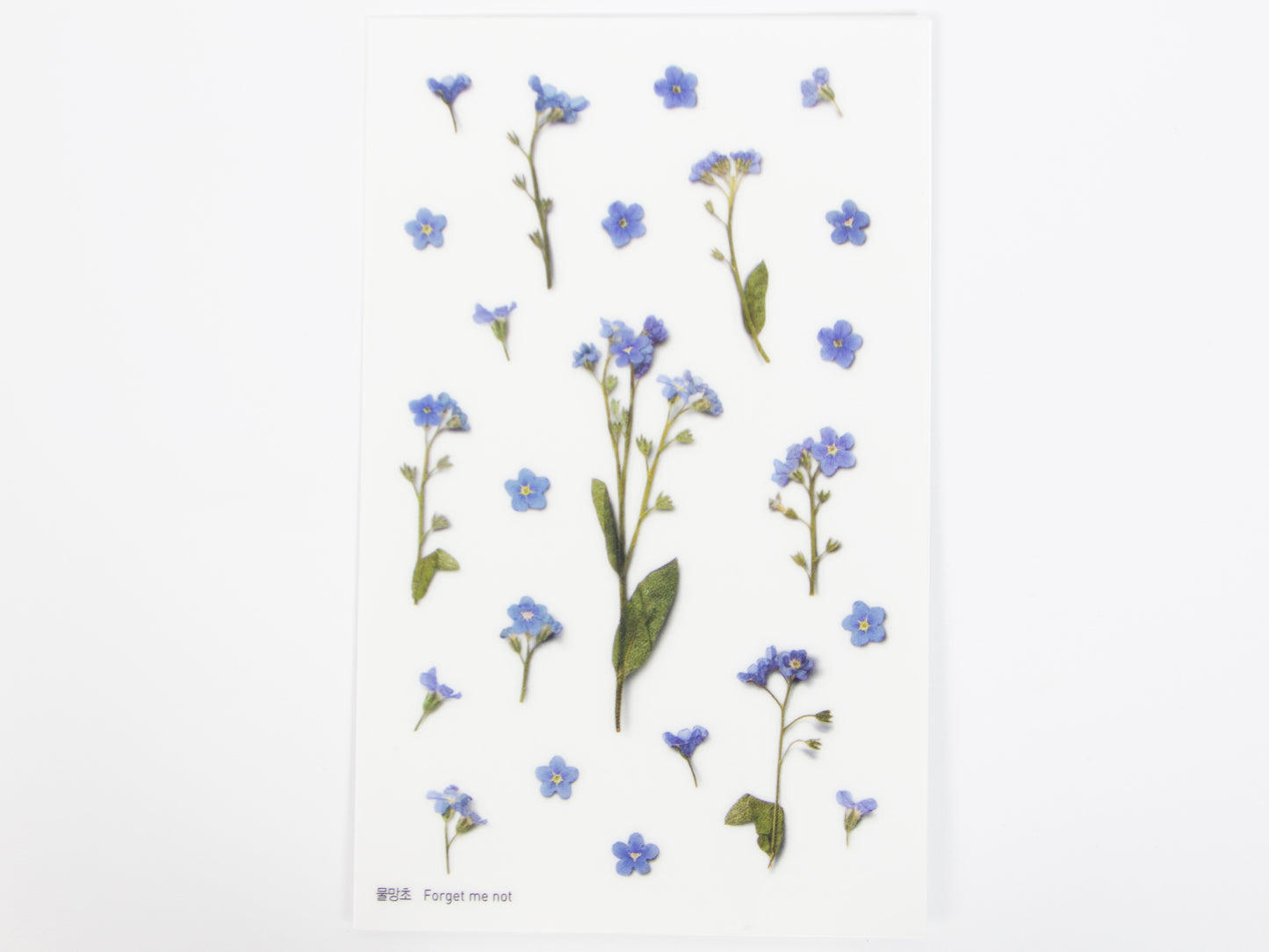 Appree Pressed Flower Stickers