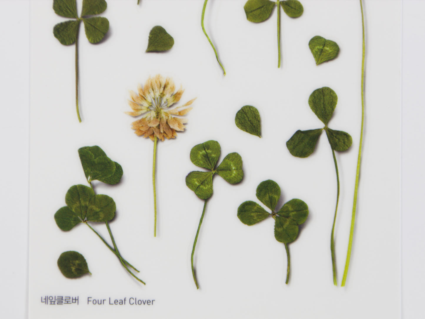 Appree Pressed Flower Stickers