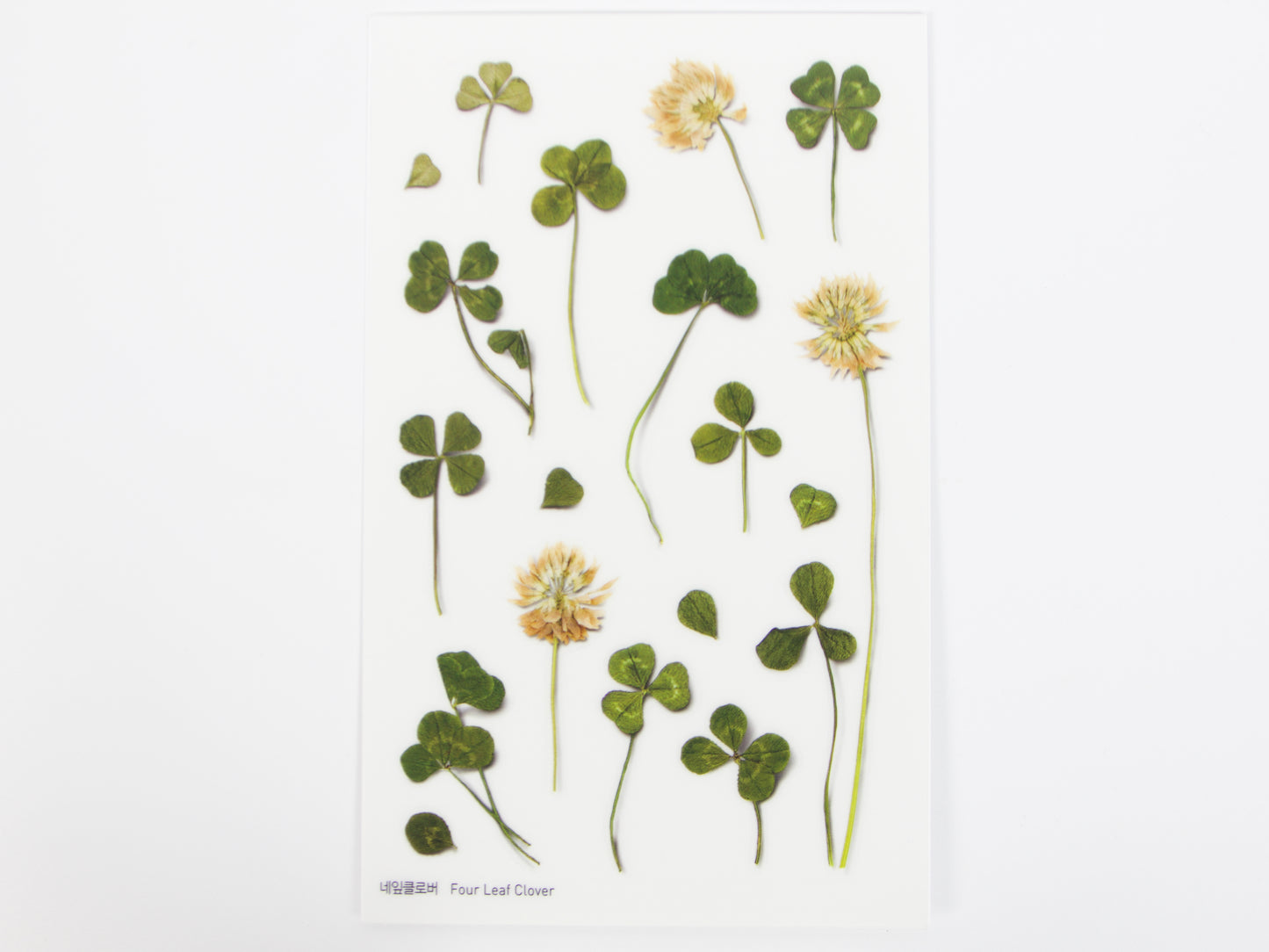 Appree Pressed Flower Stickers