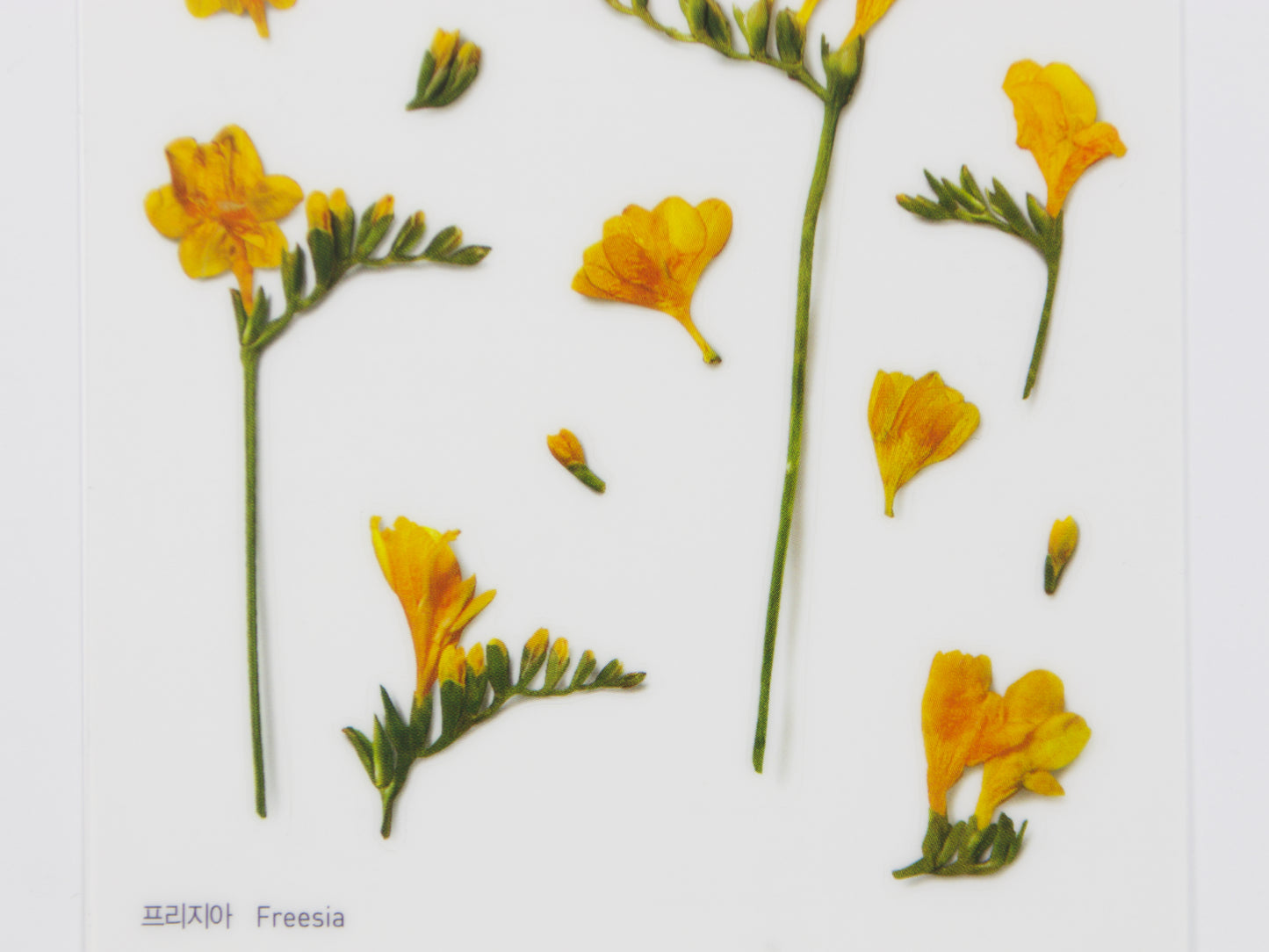Appree Pressed Flower Stickers