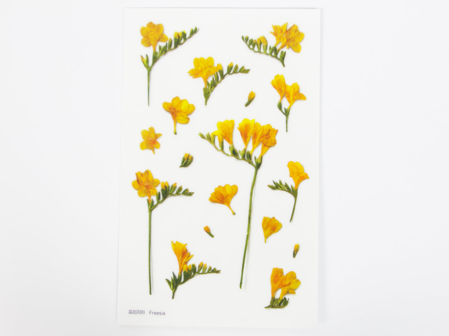 Appree Pressed Flower Stickers