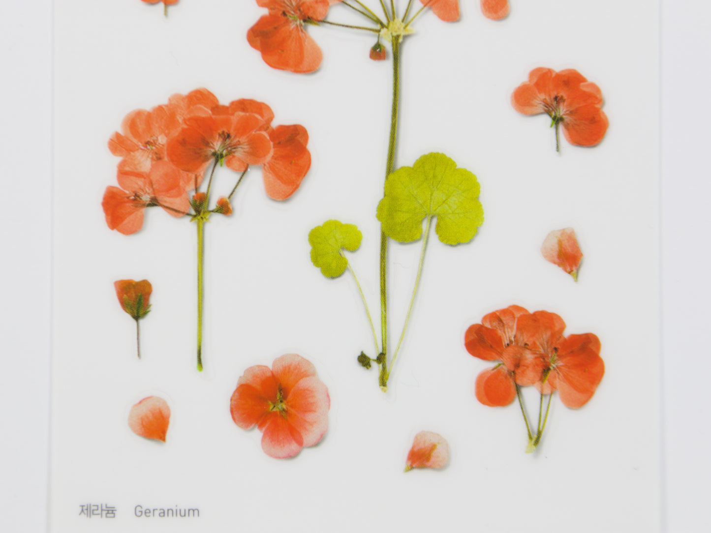 Appree Pressed Flower Stickers