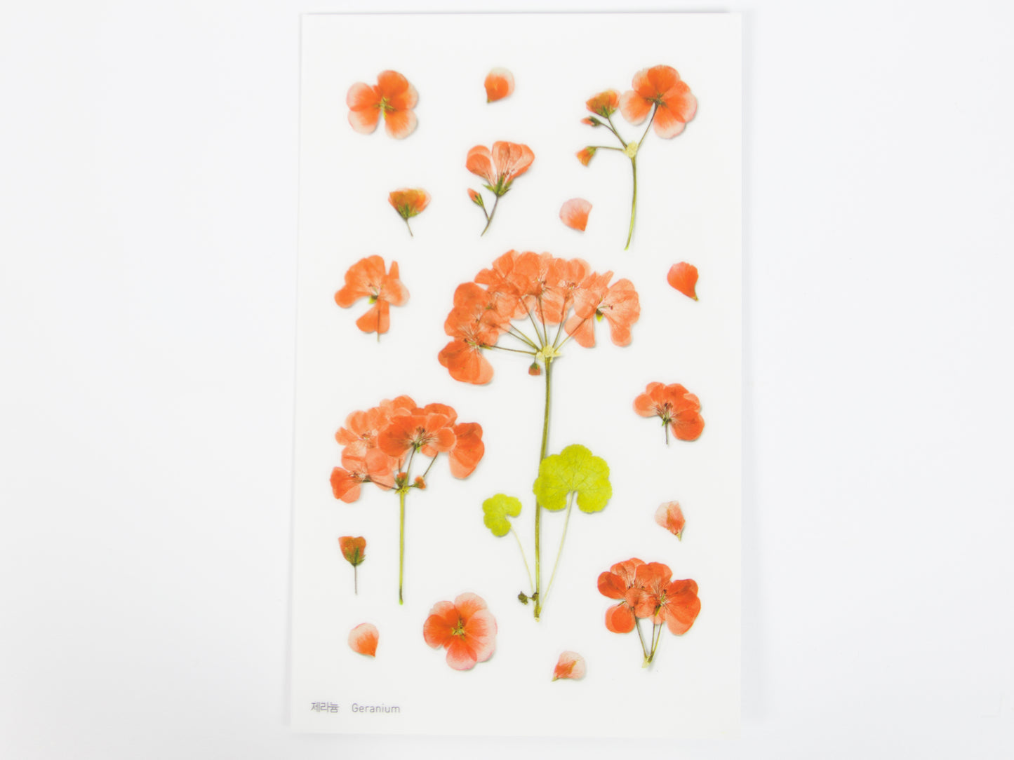 Appree Pressed Flower Stickers