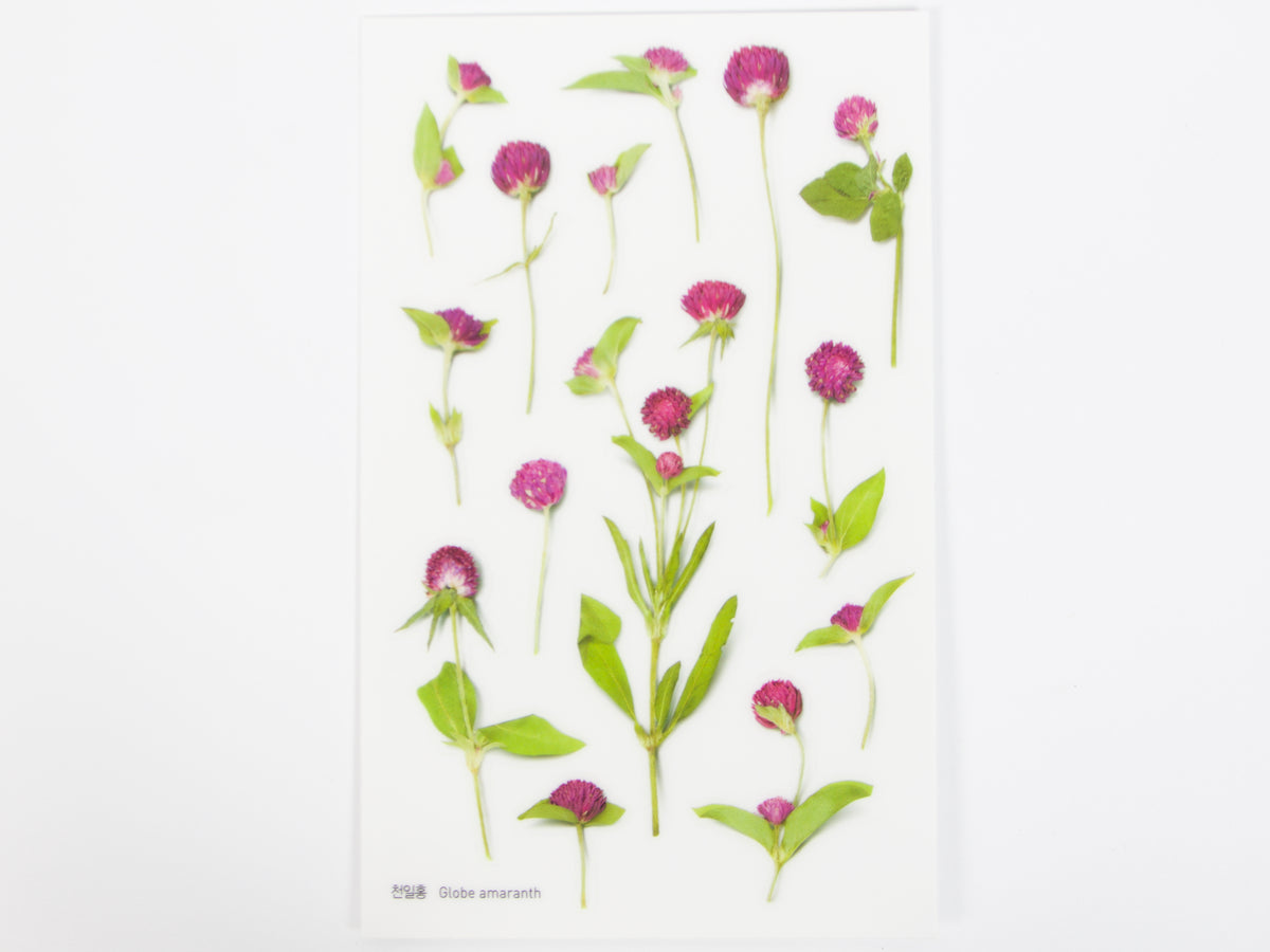 Appree Pressed Flower Stickers
