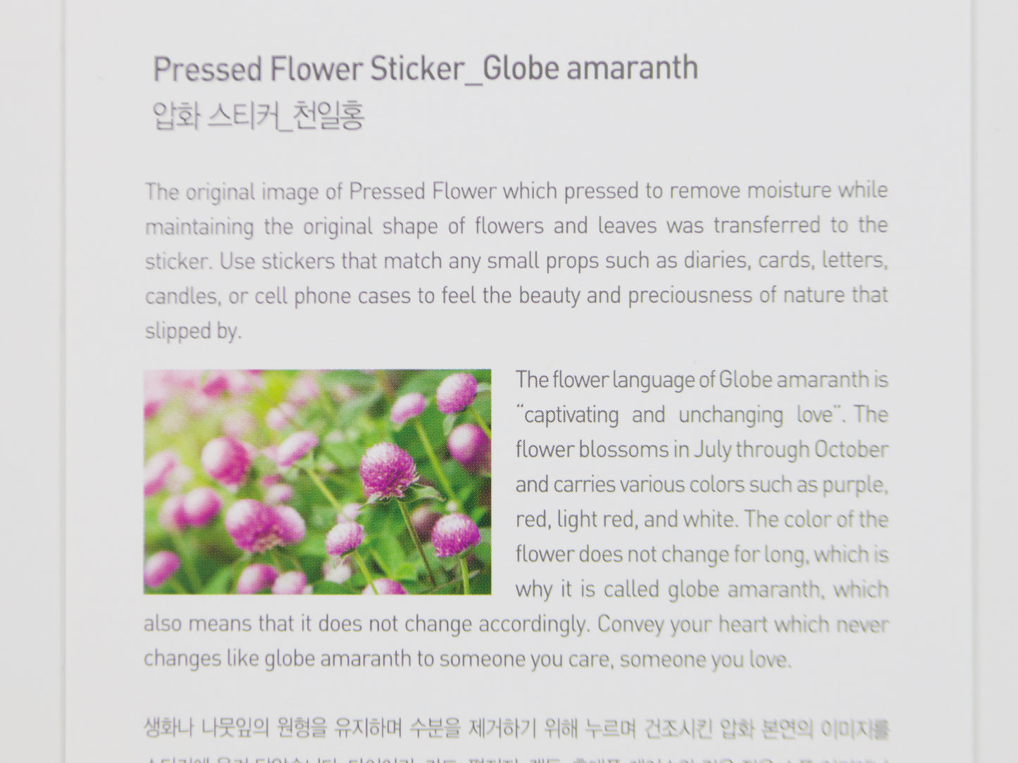 Appree Pressed Flower Stickers