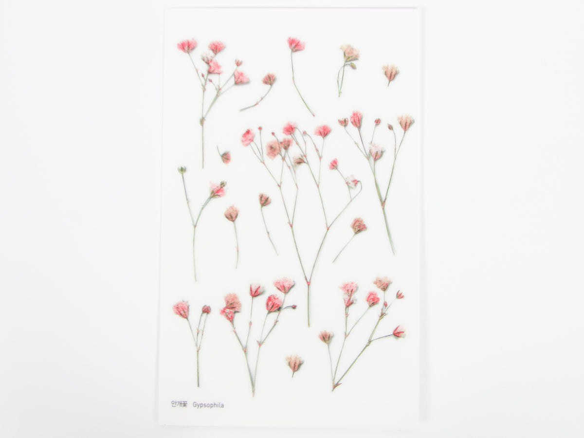 Appree Pressed Flower Stickers