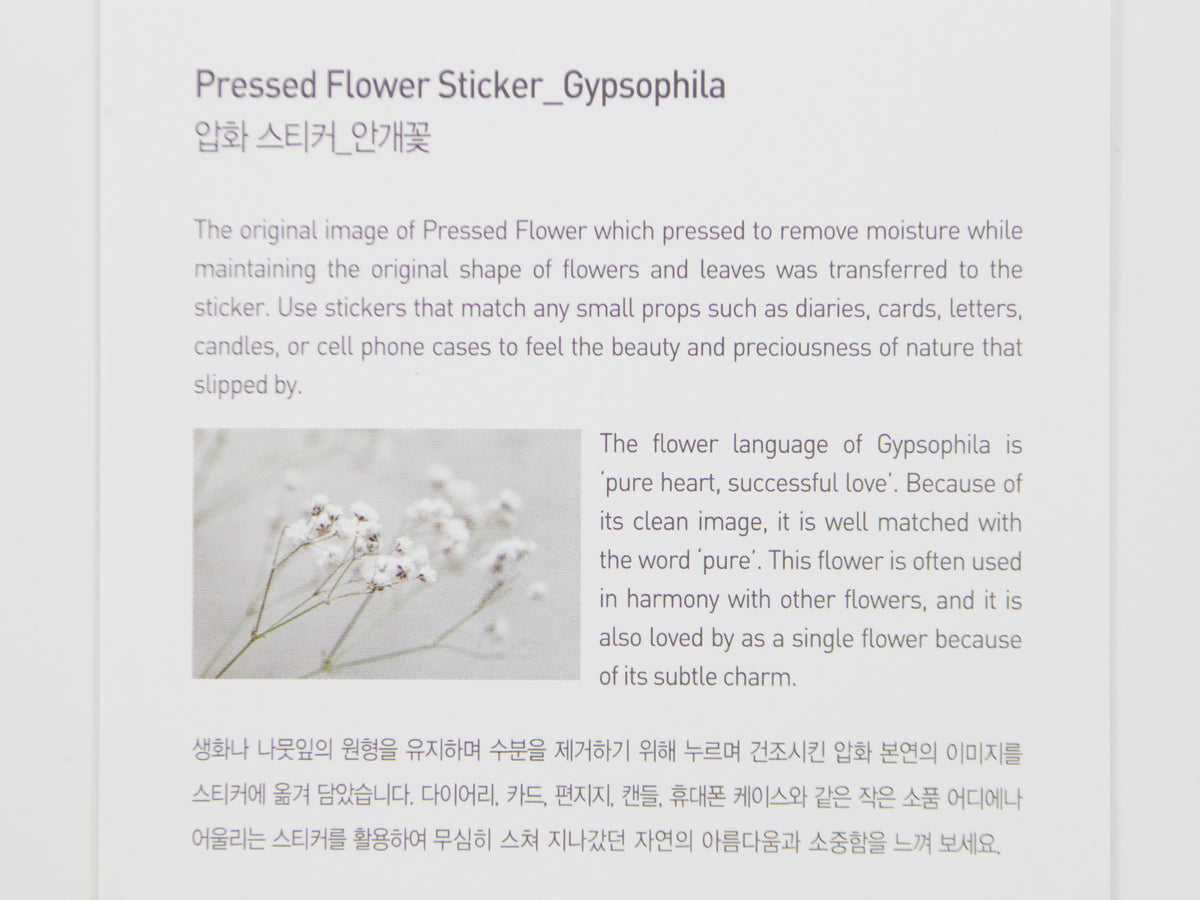 Appree Pressed Flower Stickers