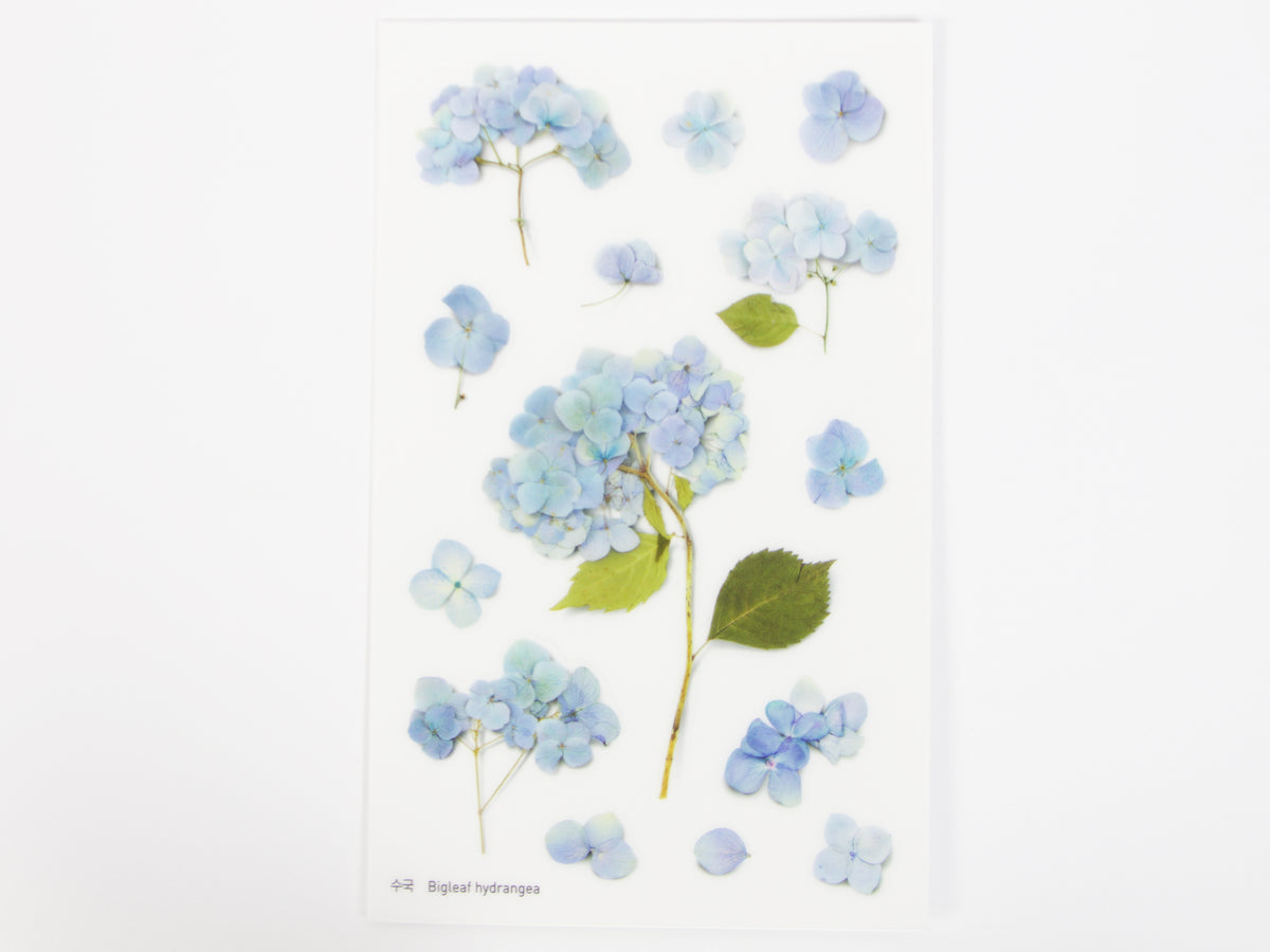 Appree Pressed Flower Stickers