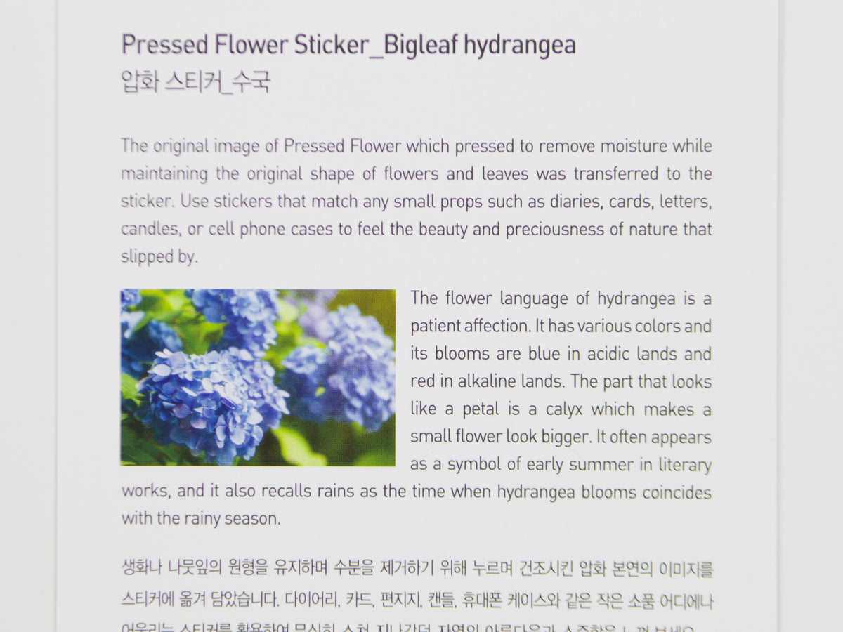 Appree Pressed Flower Stickers