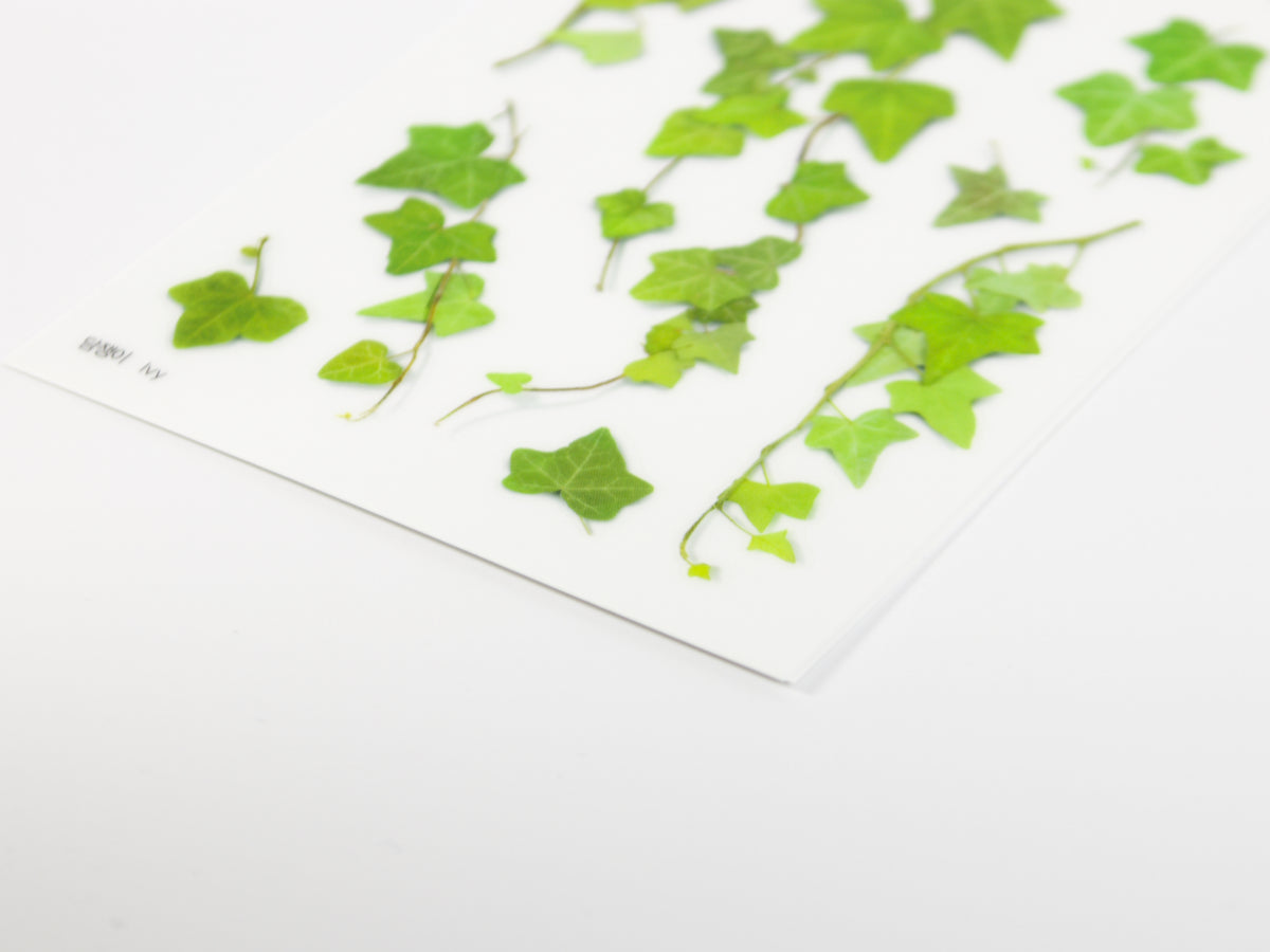 Appree Pressed Flower Stickers