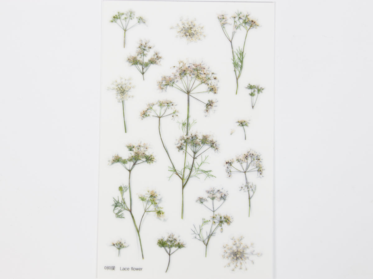 Appree Pressed Flower Stickers