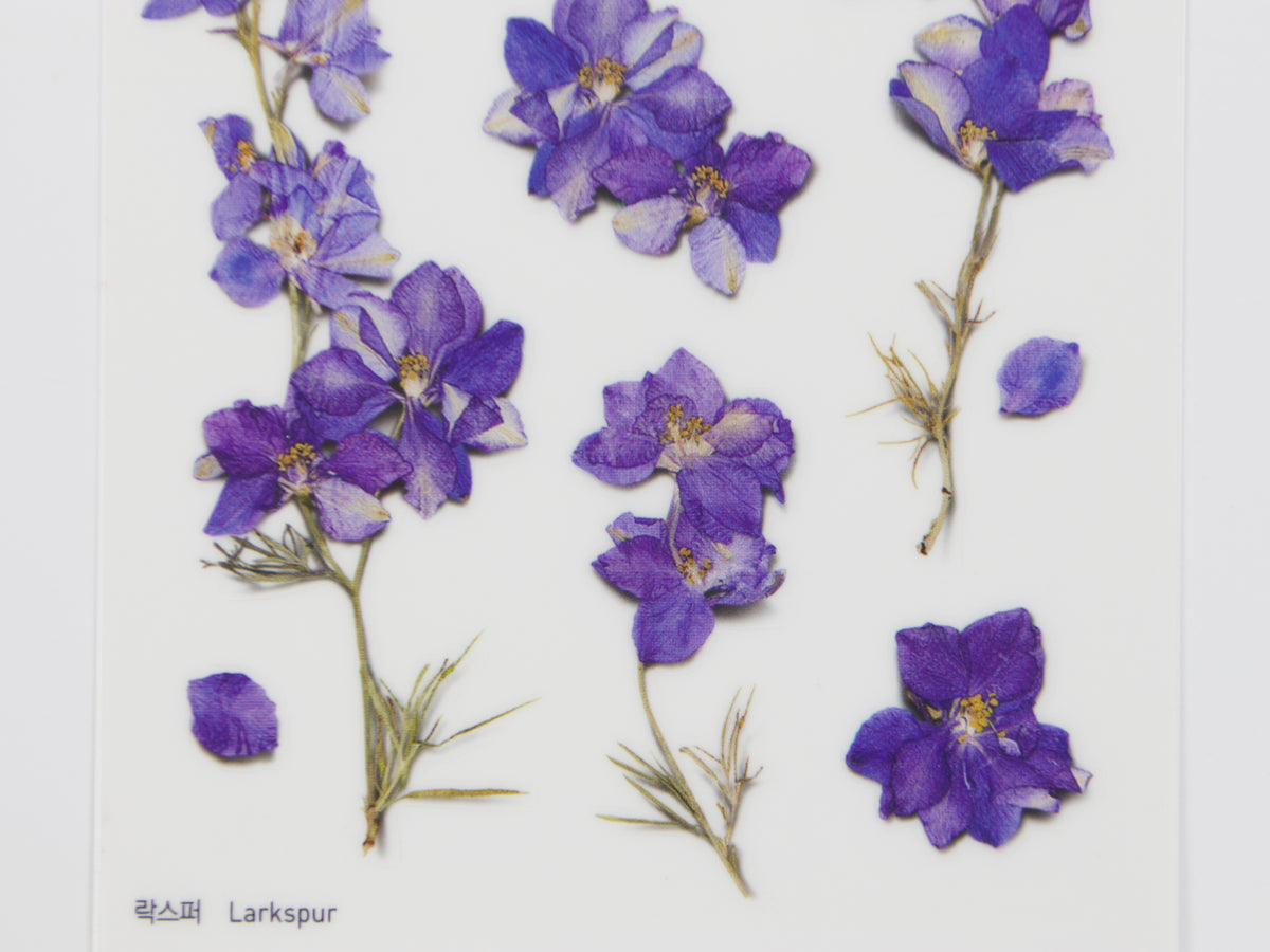Appree Pressed Flower Stickers