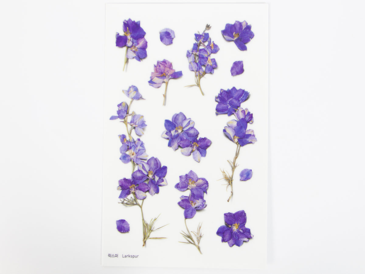 Appree Pressed Flower Stickers