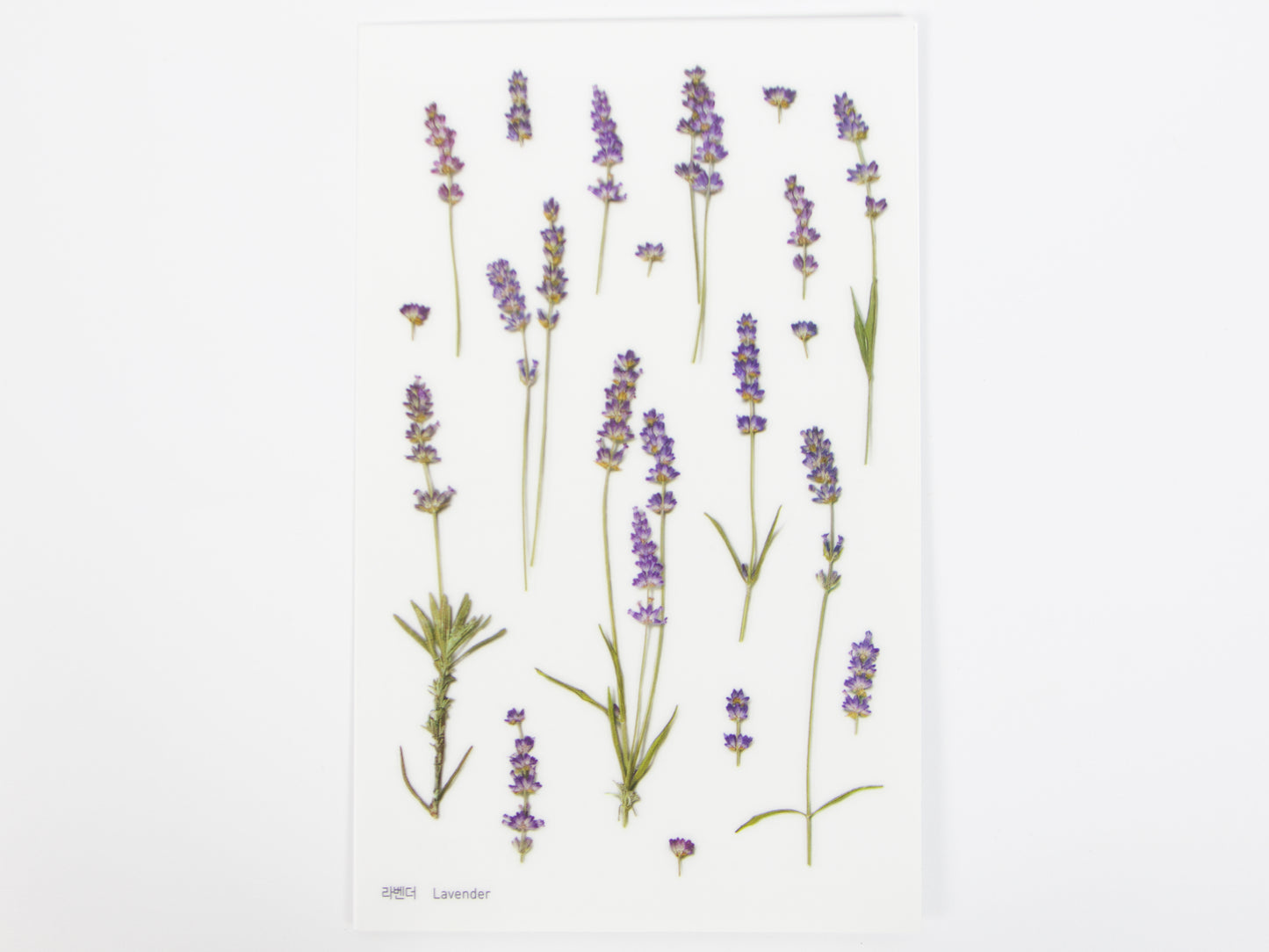 Appree Pressed Flower Stickers