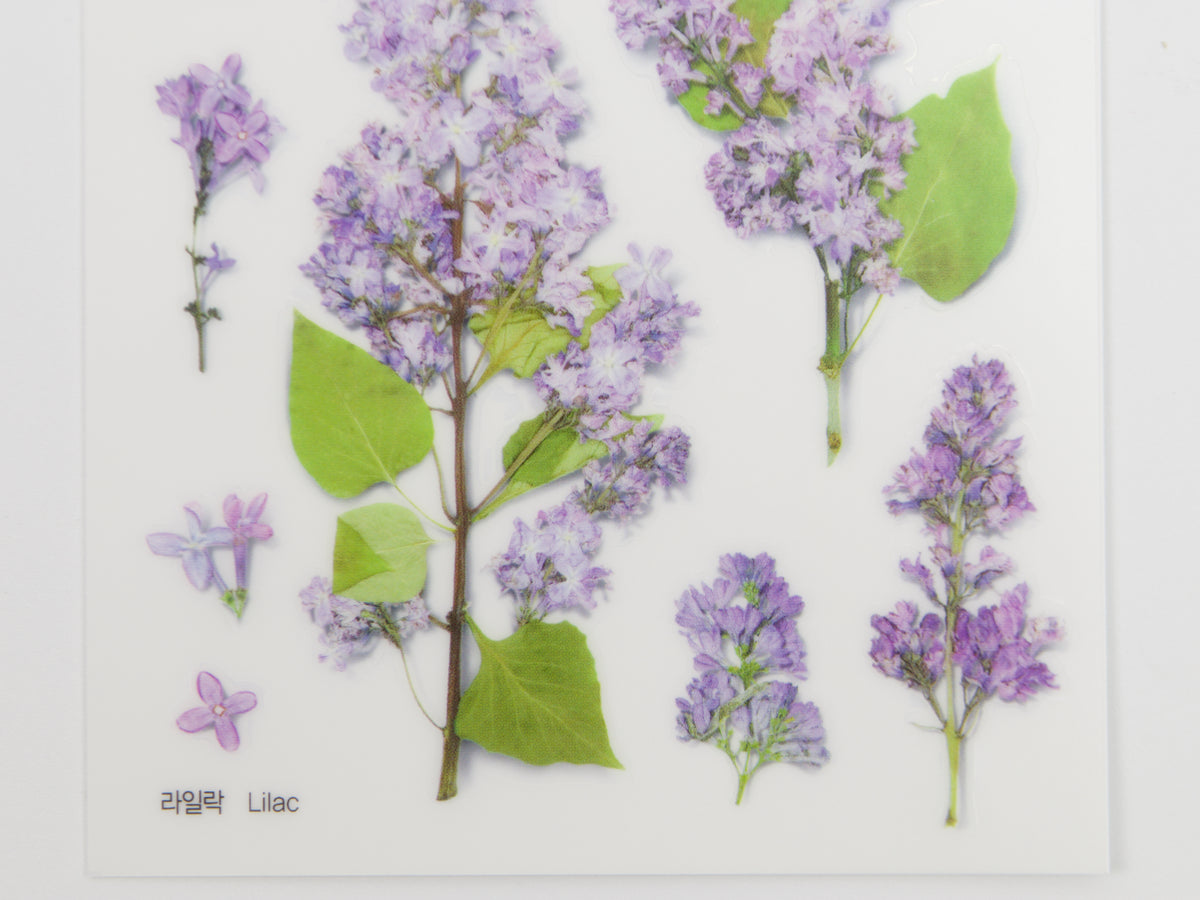 Appree Pressed Flower Stickers