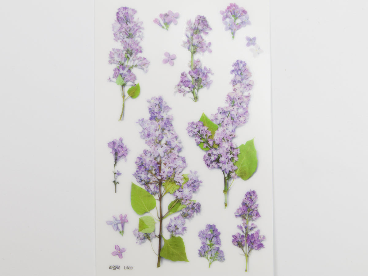 Appree Pressed Flower Stickers
