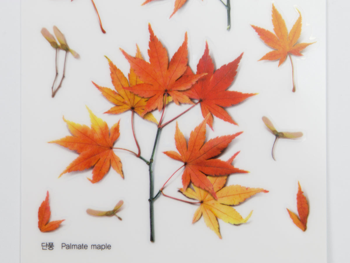 Appree Pressed Flower Stickers