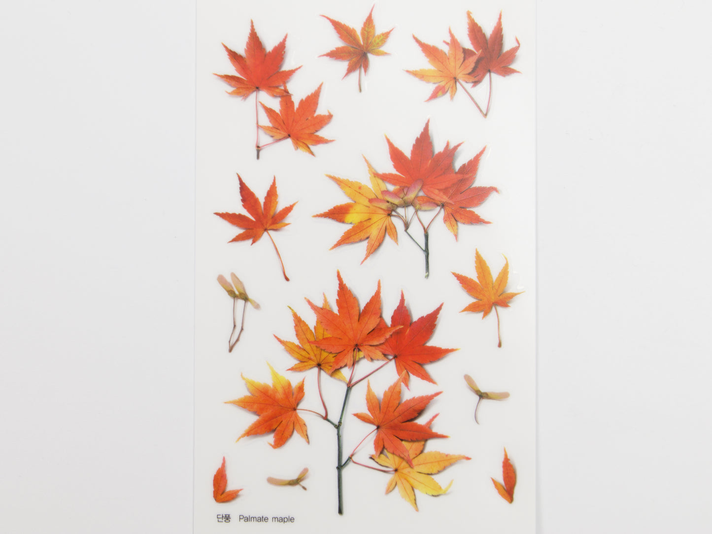 Appree Pressed Flower Stickers