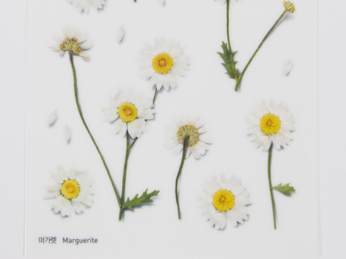 Appree Pressed Flower Stickers
