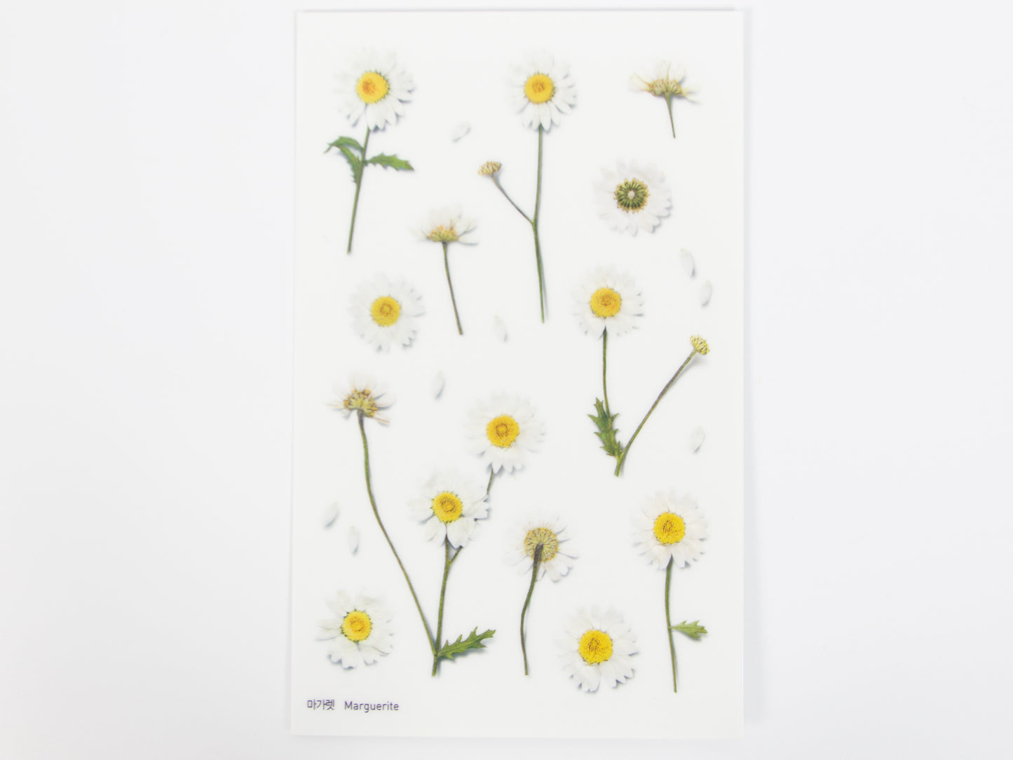 Appree Pressed Flower Stickers