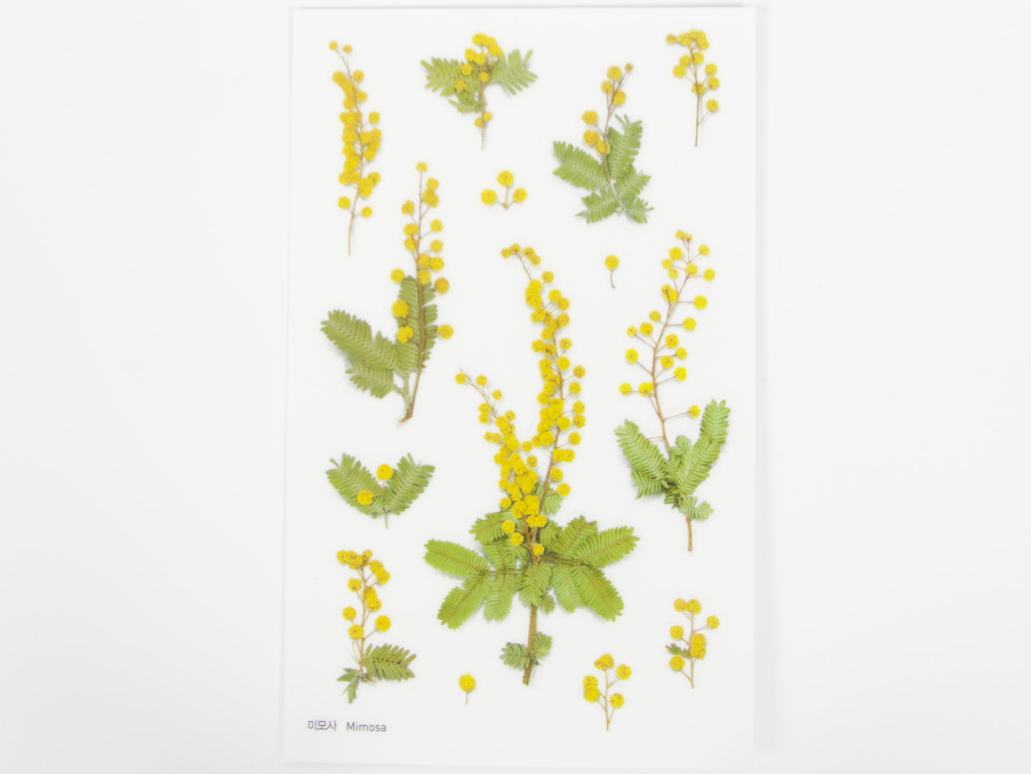 Appree Pressed Flower Stickers