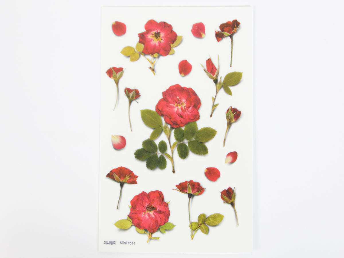 Appree Pressed Flower Stickers