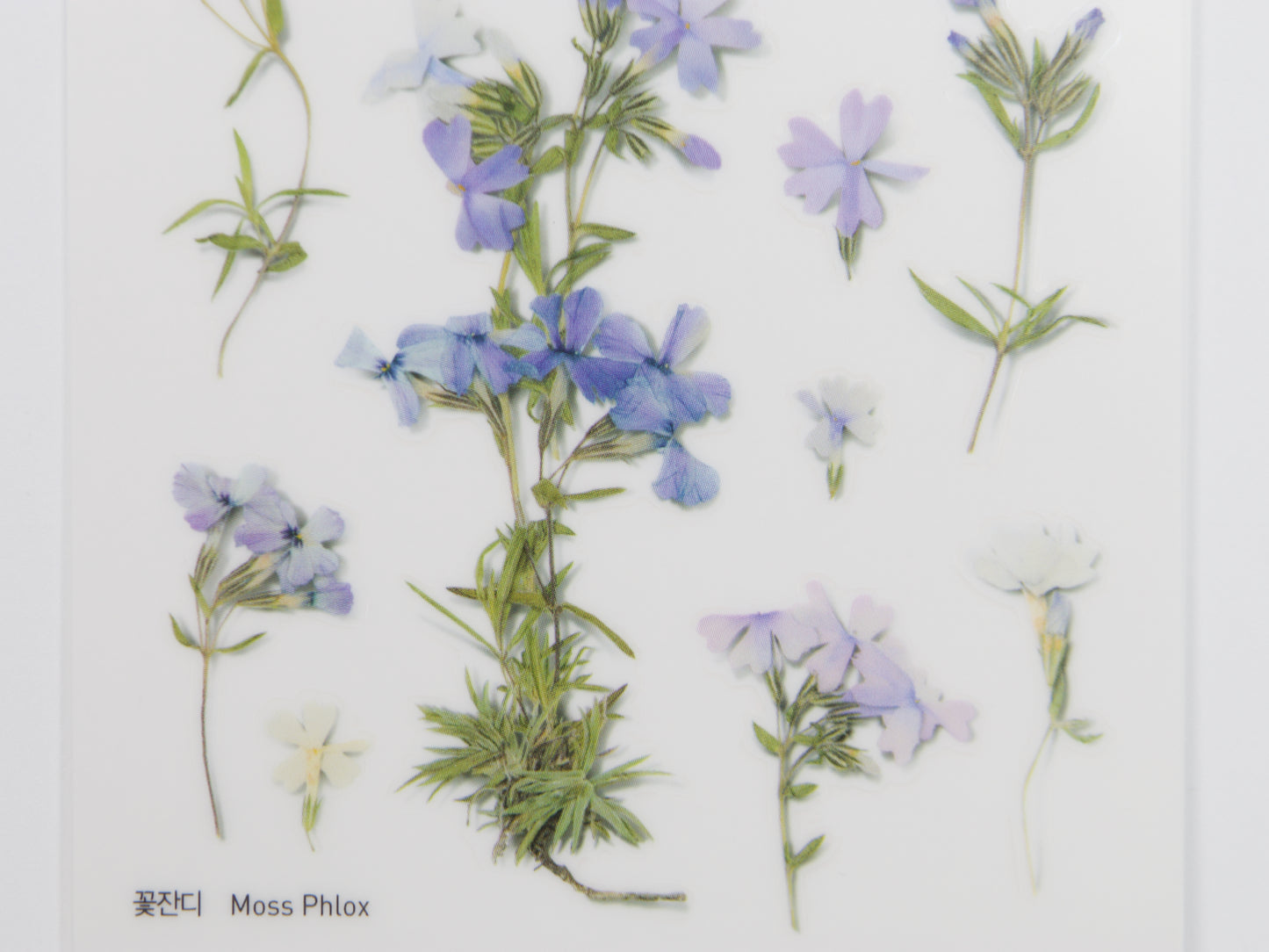 Appree Pressed Flower Stickers