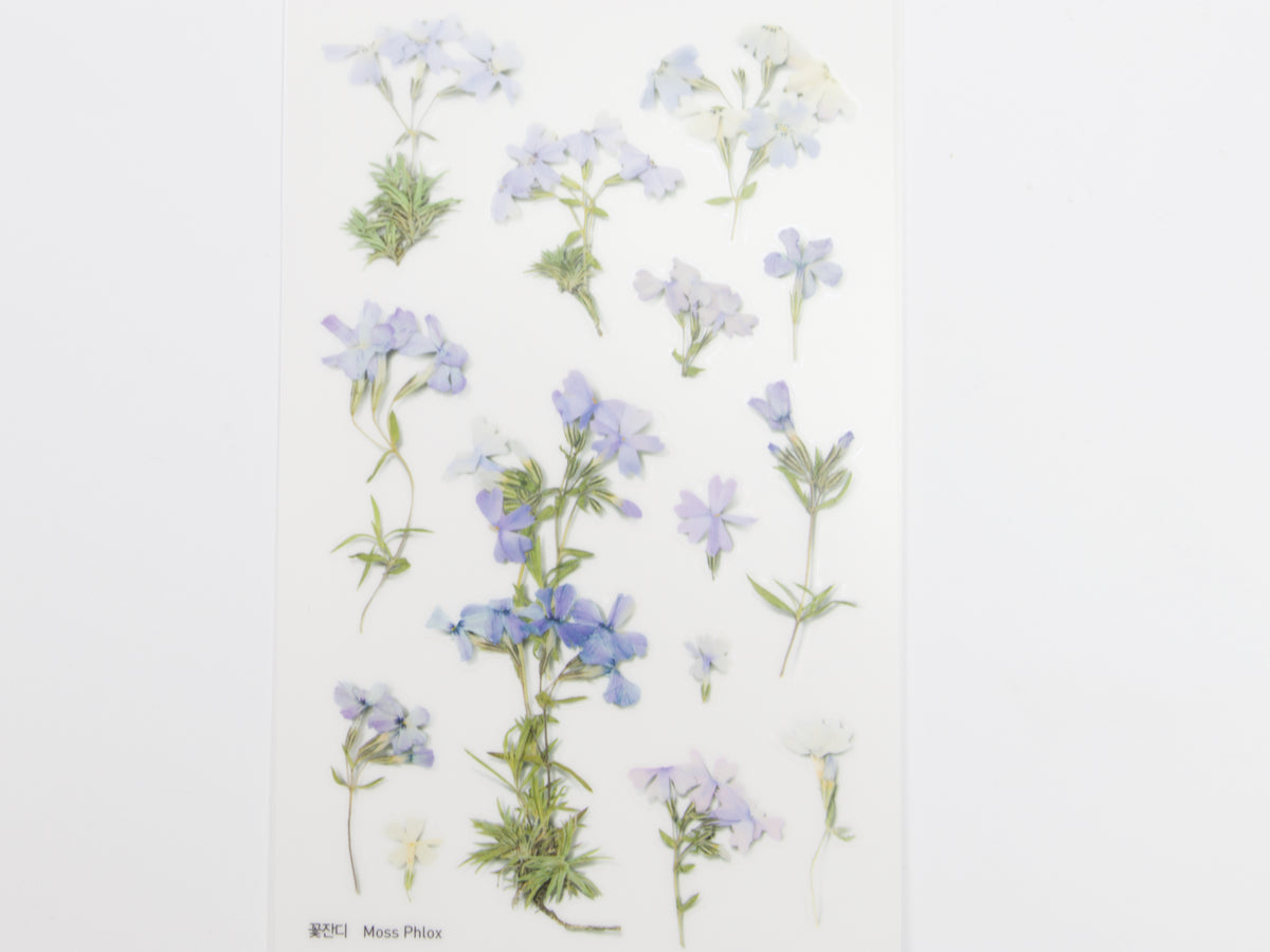 Appree Pressed Flower Stickers