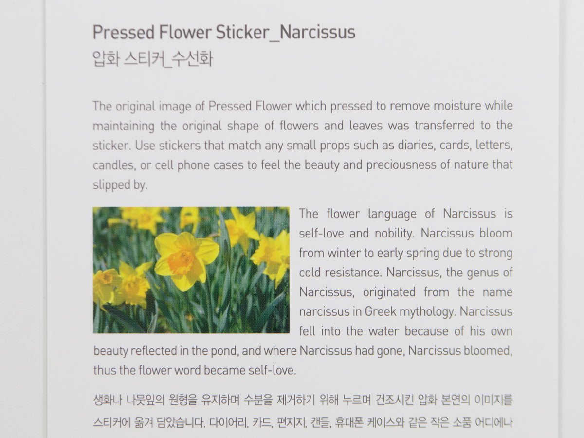 Appree Pressed Flower Stickers