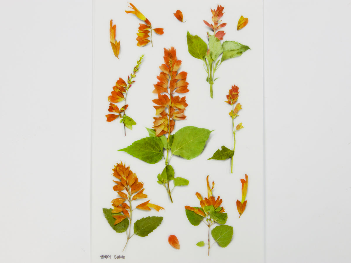 Appree Pressed Flower Stickers