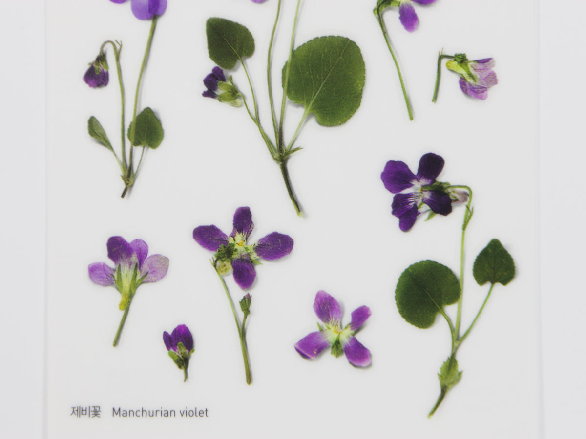 Appree Pressed Flower Stickers
