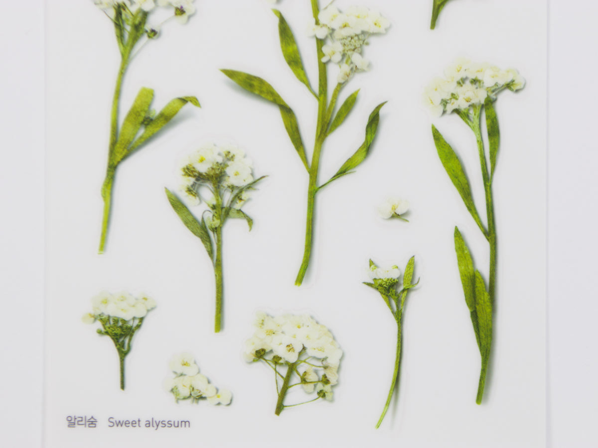 Appree Pressed Flower Stickers