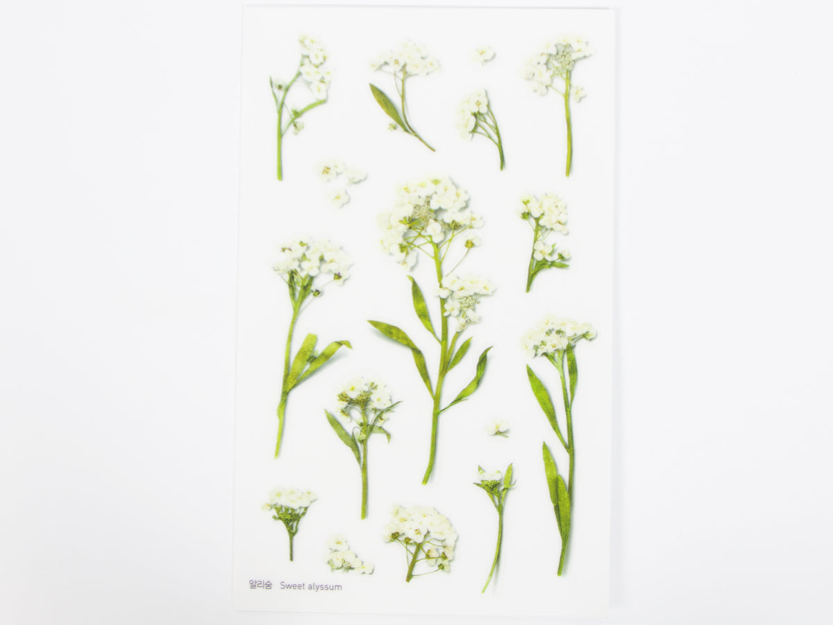 Appree Pressed Flower Stickers