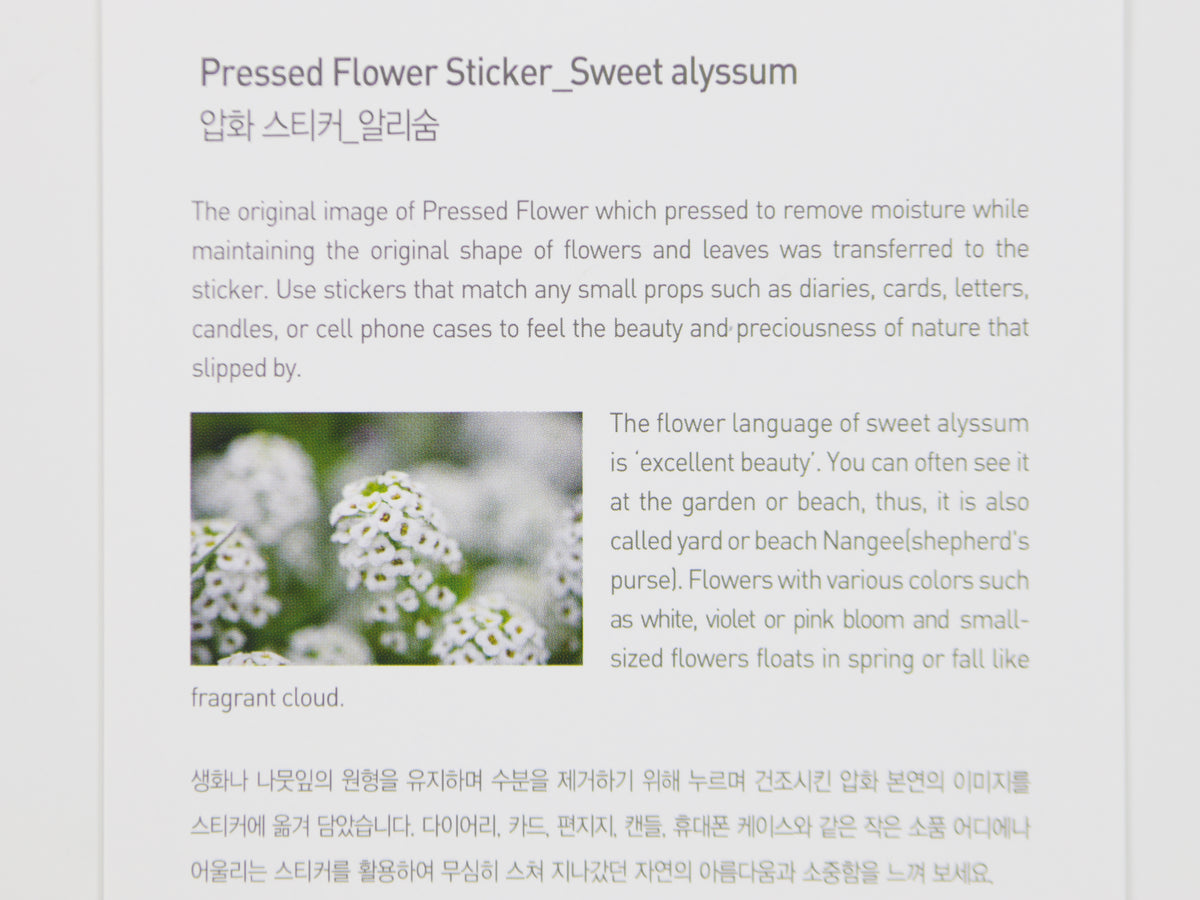 Appree Pressed Flower Stickers
