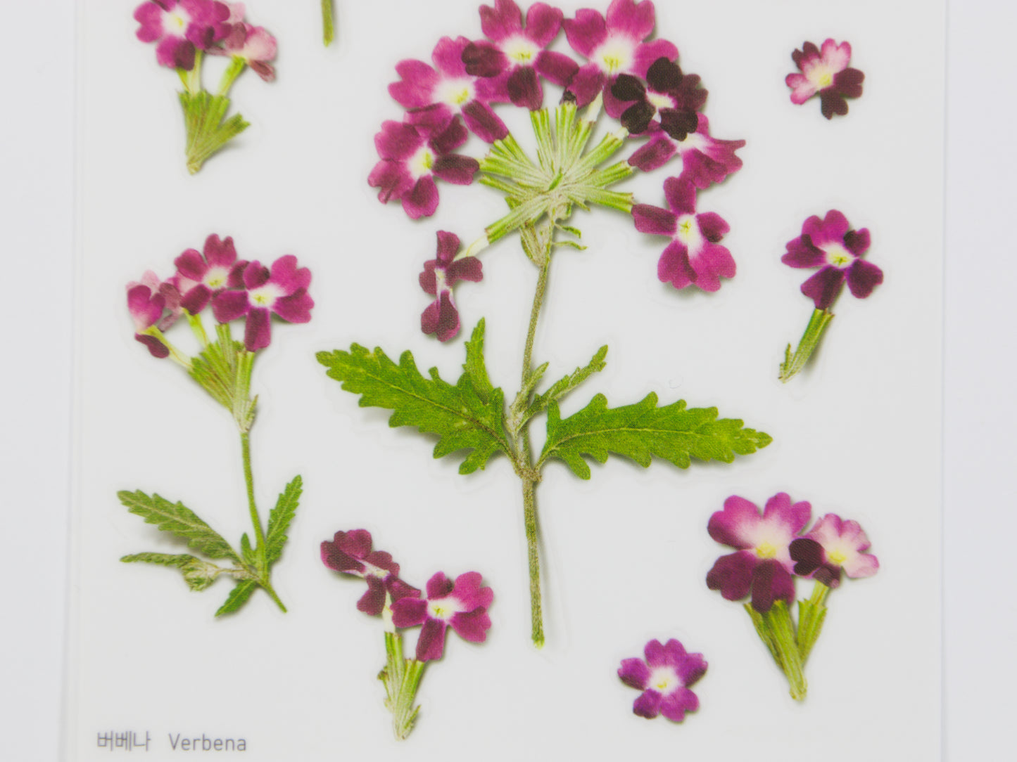 Appree Pressed Flower Stickers
