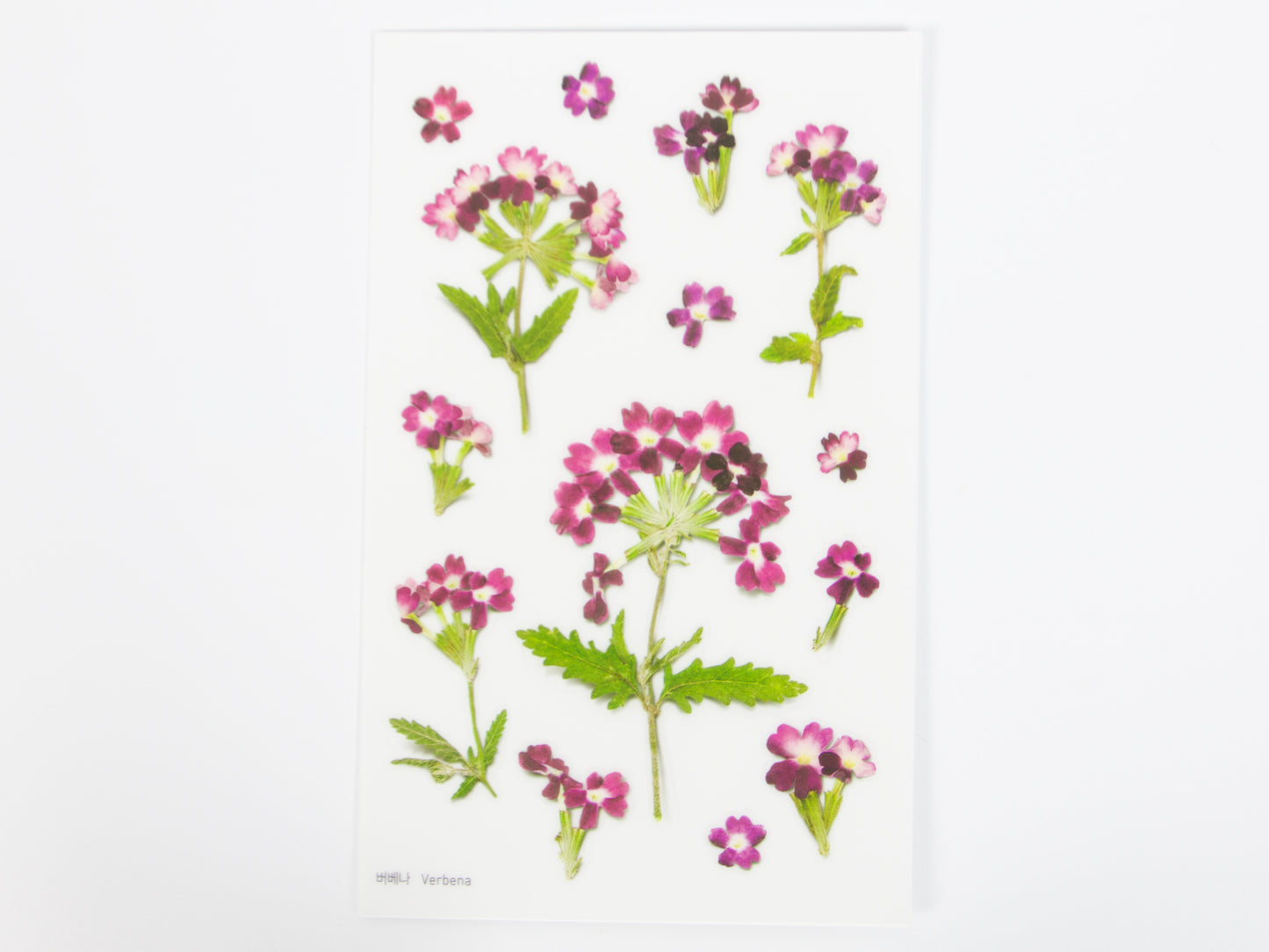 Appree Pressed Flower Stickers